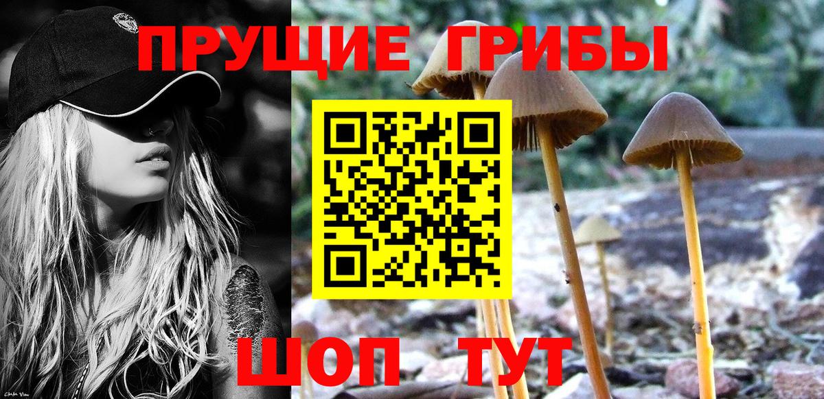 Галлюциногенные грибы прущие грибы Лянтор